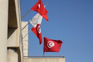 Tunisian flag by Tarek